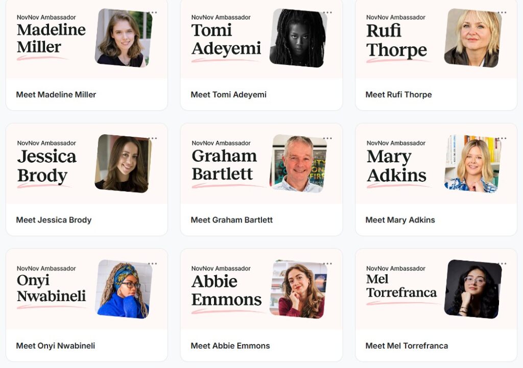 Novel November Ambassadors